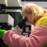 A blonde person wearing a pink and yellow fleece and bright green gloves looks into a microscope.
