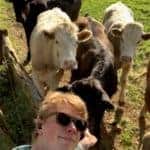 A picture of Ollie in front of some curious looking cows