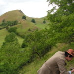 A grassy hillside with a man in a hat bending down to pick up some rocks.