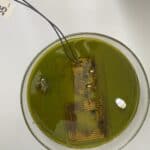 Petri dish containing solution which is dissolving copper