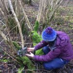 Person attaching a square camera in the bottom of a tree. The person is wearing a purple coat and blue bobble hat