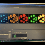 An image of a computer screen showing five images of fluorescent cells