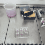 Some science equipment laid out on a metal bench including a beaker, pipette and petri dishes