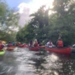 A bunch of people kayaking along a river, from behind. There is blue sky and lots of trees either side of the river. The photo is a little blurry from the sun