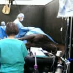 3 veterinary surgeons are operating on a horse who is laying down, under anaesthetic in an operating theatre.
