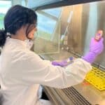 Woman using a pipette at a biosafety cabinet