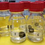 A picture of my research to do with ammonia, to see if tree bark could get ammonia to stick to it (as a way of reducing the high levels of ammonia in wastewater that comes out of some company's processes)