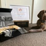 Dog next to a present box and certificate in a frame