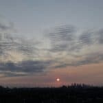 Picture of London at sunrise.