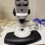 Picture of a microscope