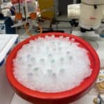 Picture of a bucket filled with ice and small plastic tubes of various reagents