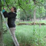 A woman on a ladder looking in a bird nest box