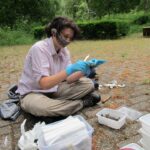 A woman wearing gloves looking at the contents of a bird nest