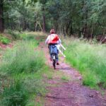 A woman riding a bike carrying a ladder